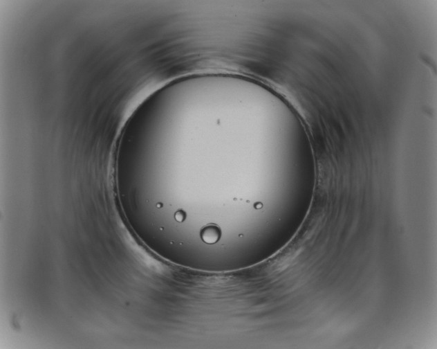X0000098141387200804241704