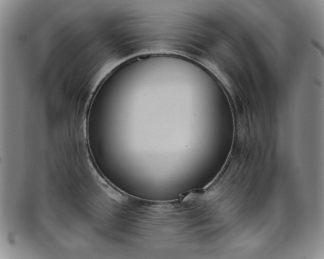 X0000098141388200804241704