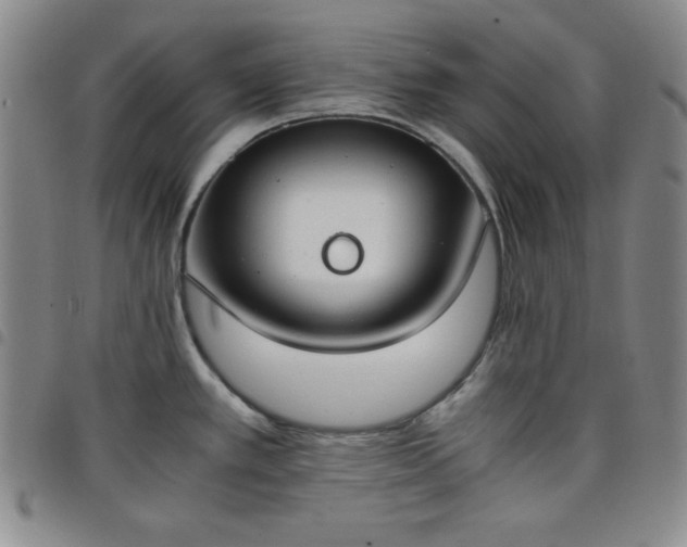 X0000098141389200804241704