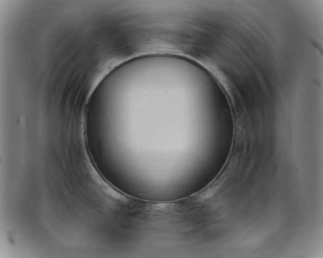 X0000098141390200804241704