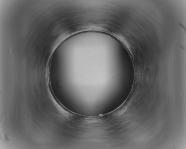 X0000098141391200804241703