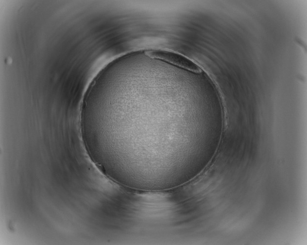 X0000098141392200804241703