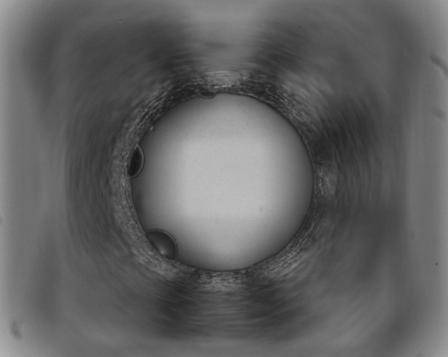X0000098141393200804241703