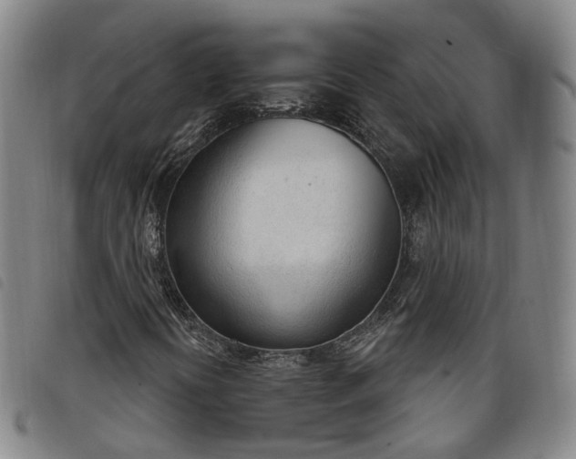 X0000098141394200804241703