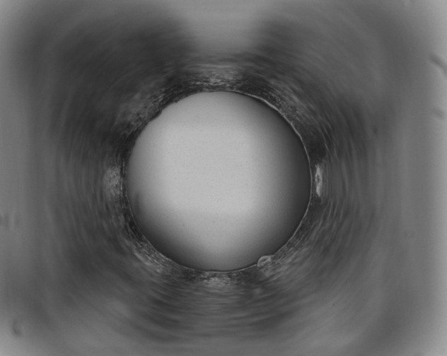 X0000098141395200804241703