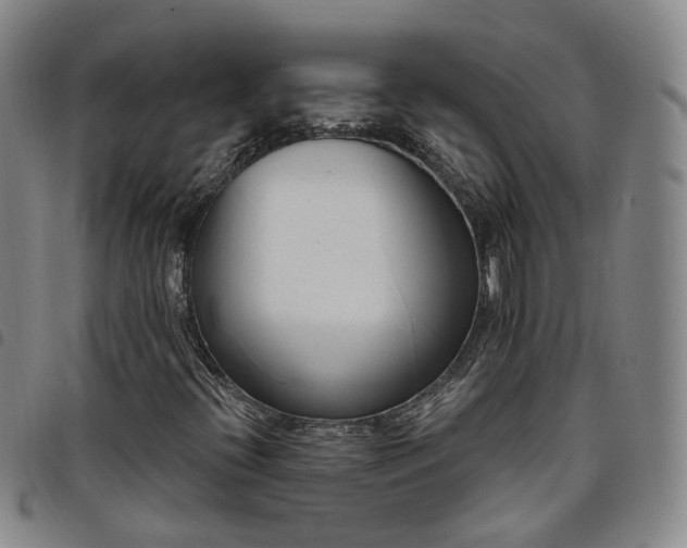 X0000098141396200804241703