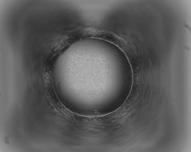 X0000098141397200804241703