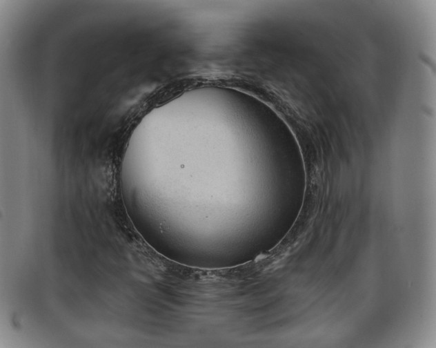 X0000098141398200804241703