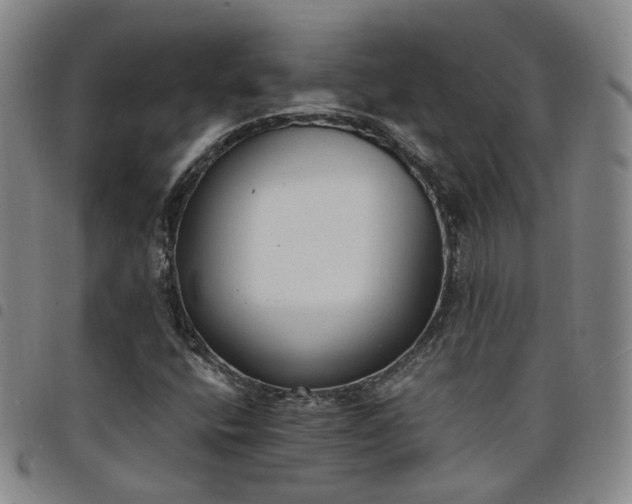 X0000098141400200804241703