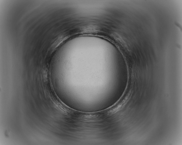 X0000098141401200804241703