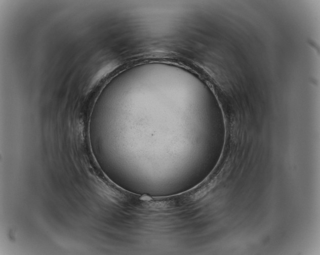 X0000098141402200804241703