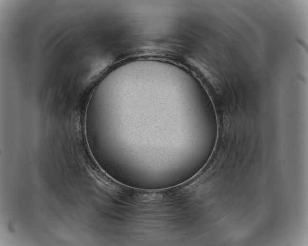 X0000098141403200804241703