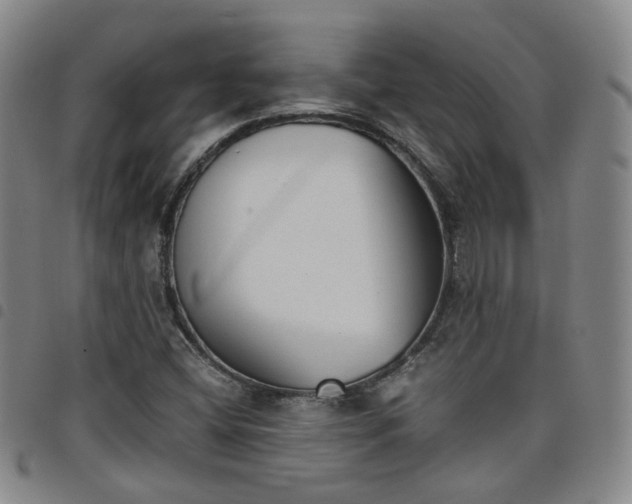 X0000098141404200804241703