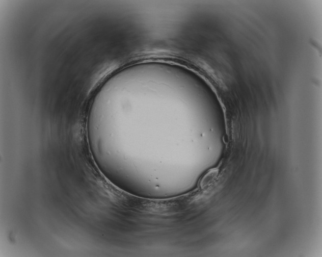 X0000098141405200804241703