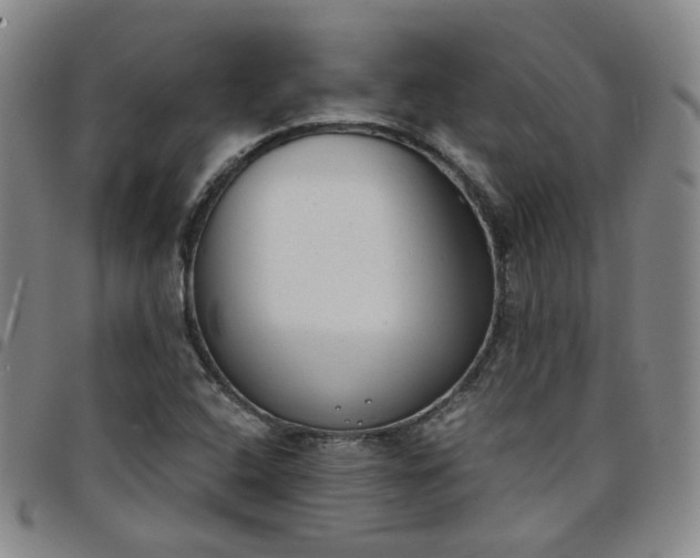 X0000098141408200804241703