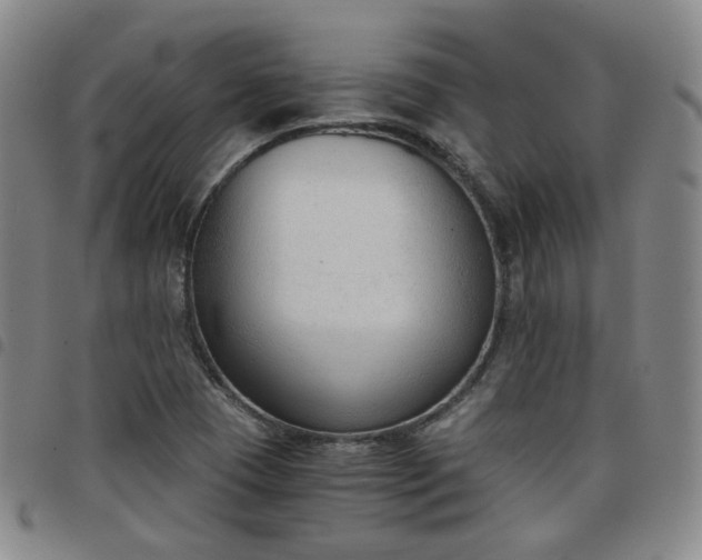X0000098141409200804241703