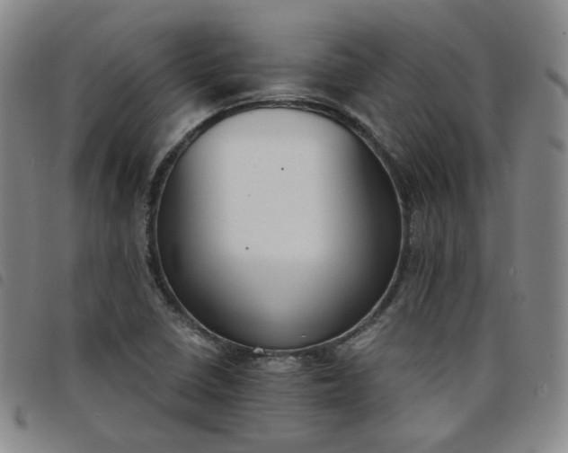 X0000098141410200804241703