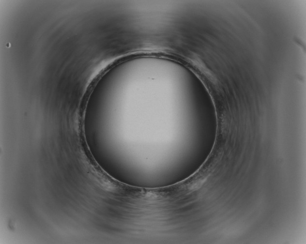 X0000098141412200804241703
