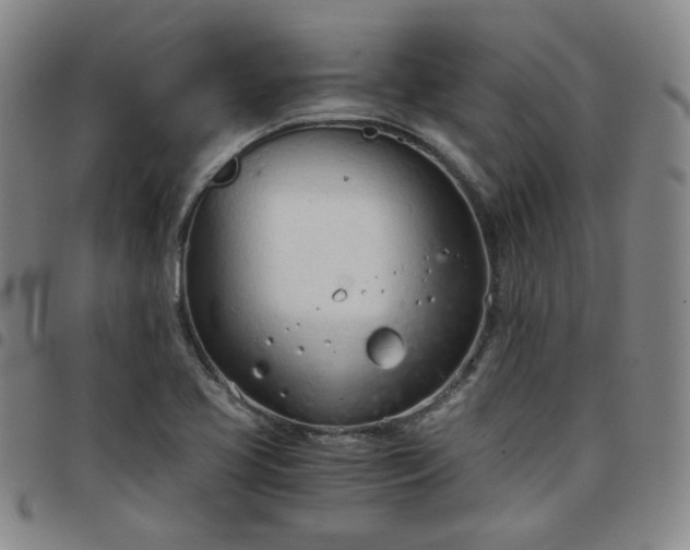 X0000098141413200804241703