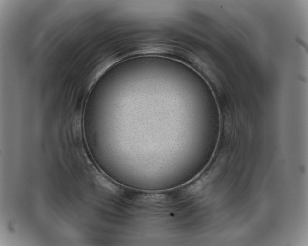 X0000098141417200804241703