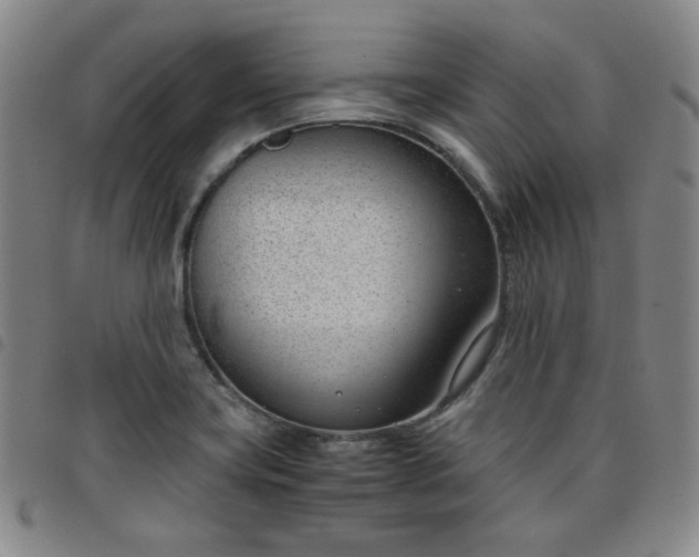 X0000098141419200804241703