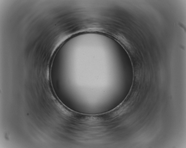 X0000098141420200804241703