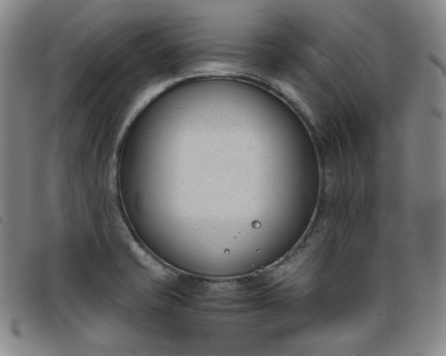 X0000098141421200804241703