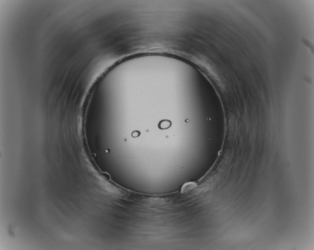 X0000098141424200804241703