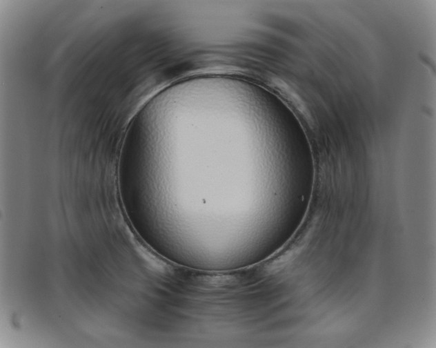 X0000098141425200804241703