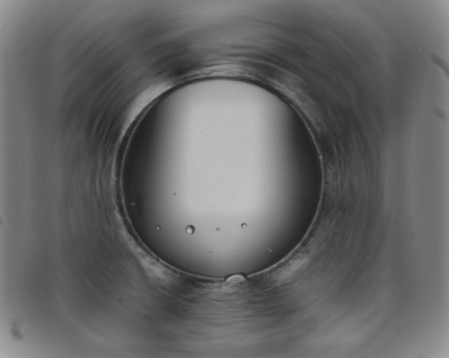 X0000098141426200804241703