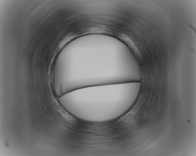 X0000098141427200804241703