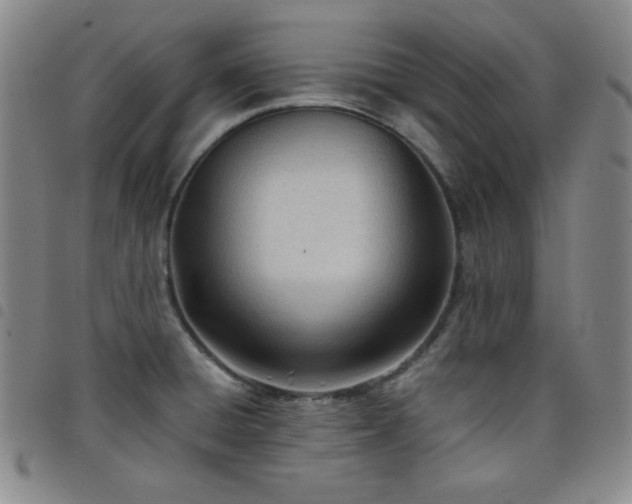 X0000098141428200804241703