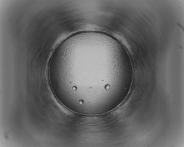 X0000098141429200804241703