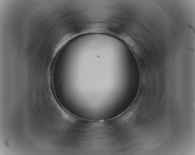 X0000098141430200804241703