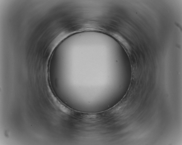 X0000098141431200804241703