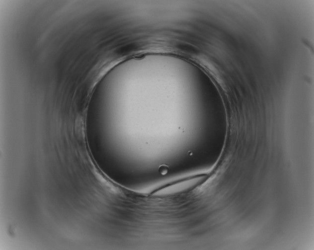 X0000098141433200804241703