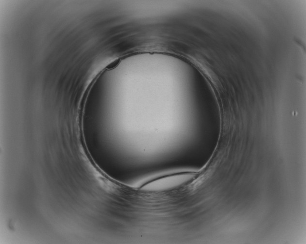 X0000098141434200804241703