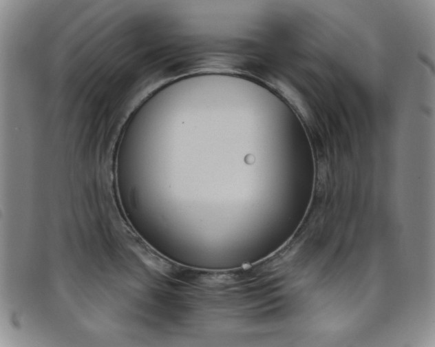 X0000098141435200804241703