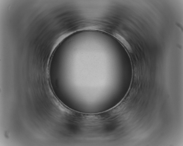 X0000098141436200804241703