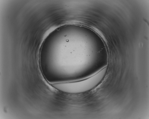 X0000098141437200804241703