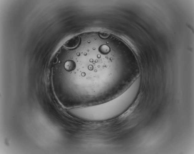 X0000098141438200804241703