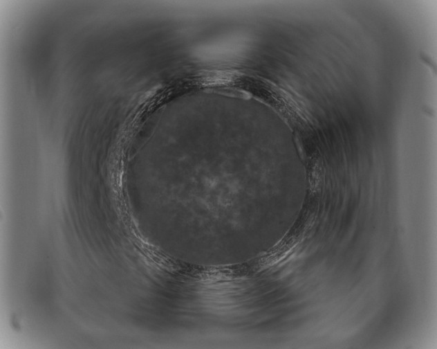 X0000098141441200804241703