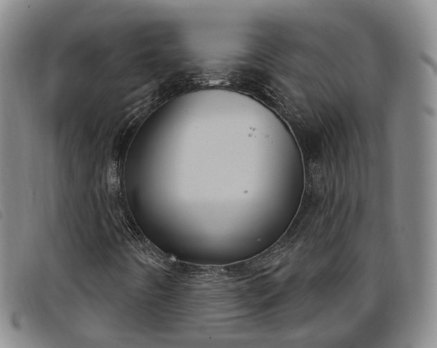 X0000098141442200804241703