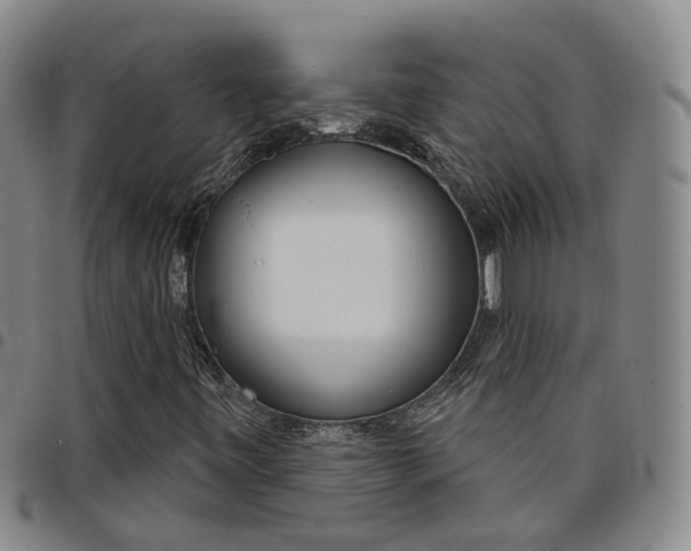 X0000098141443200804241703