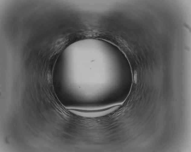 X0000098141444200804241703
