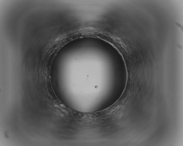 X0000098141445200804241703