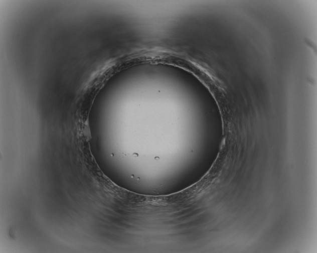 X0000098141447200804241703