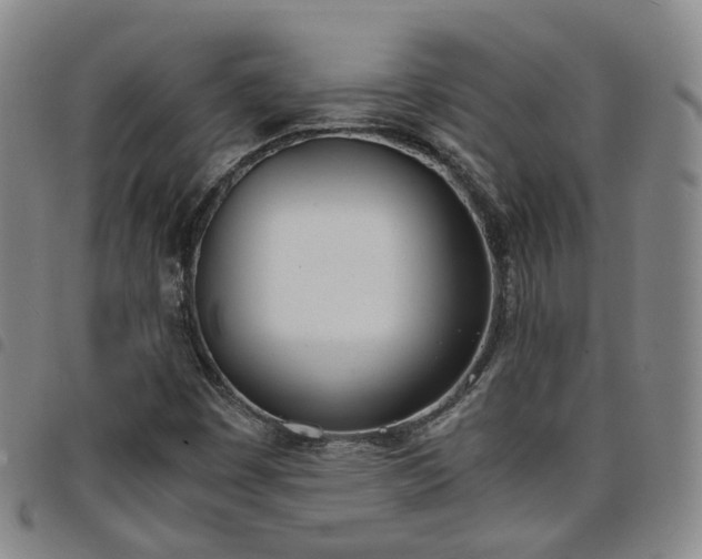 X0000098141449200804241703