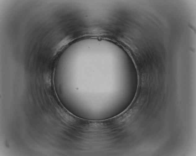 X0000098141451200804241702