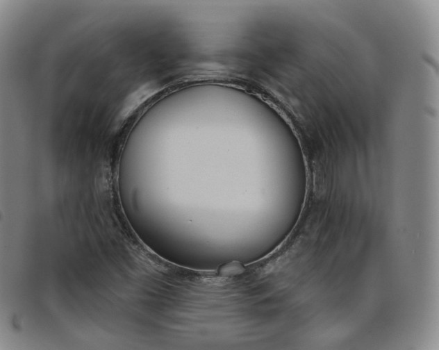 X0000098141453200804241702